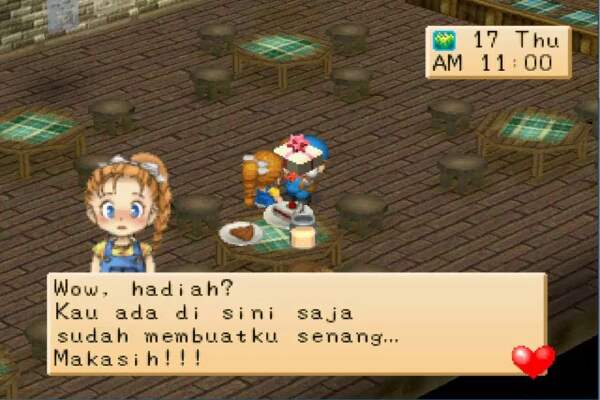 Panduan Harvest Moon Wonderfull Life