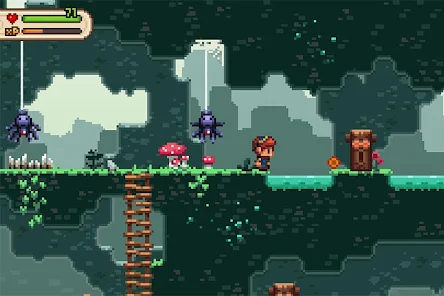 EvoLand 2