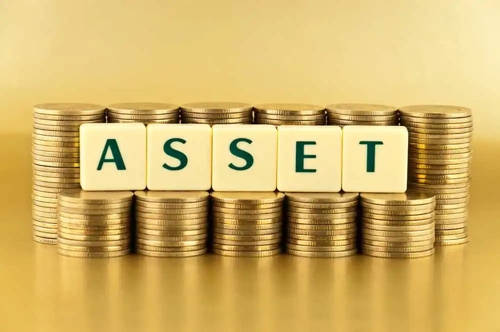 Operating asset adalah